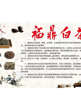 福鼎老白茶海报展板福鼎白茶的功效福鼎白茶太姥山白茶墙贴墙纸