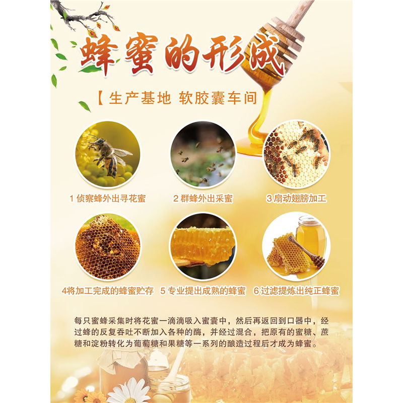 蜂蜜挂图海报蜂蜜功效好处贴纸宣传画蜂胶蜂王胶养蜂场蜂蜜店墙贴