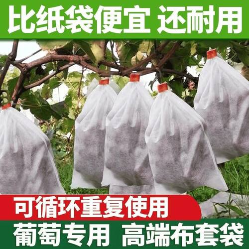 【透气防鸟】无纺布防虫袋