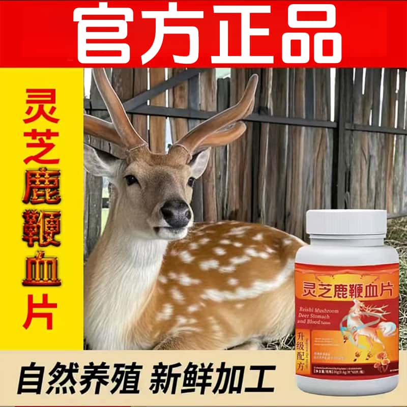 直播同款灵芝鹿鞭血片官方正品真材实料梅花鹿吉林双阳长白山鹿场