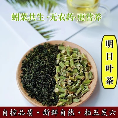 【6袋300g】山东大伟明日叶不老草神仙草日照明日叶炒制茎叶混合