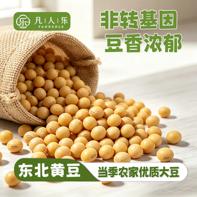 凡人乐东北黄豆新货农家当季大豆非转基因五谷杂粮打豆浆专用