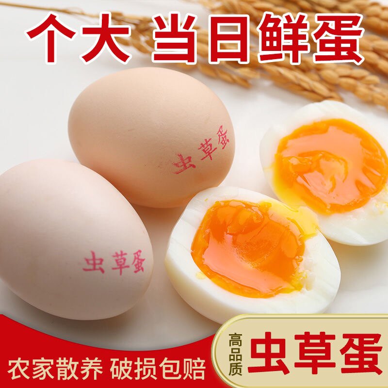 凡人乐虫草蛋鲜鸡蛋新鲜鸡蛋农家特大柴鸡蛋吃玉米虫子草鸡蛋宝宝