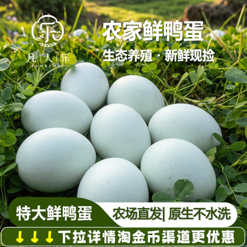凡人乐68g+特大土鸭蛋农家散养新鲜生鸭蛋青皮蛋活水稻田鲜鸭蛋