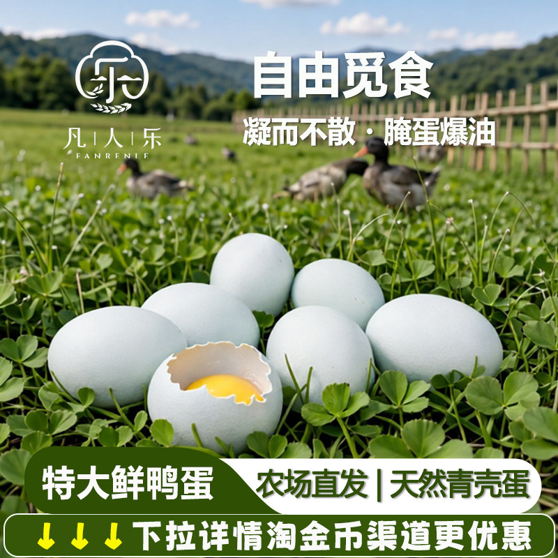 凡人乐68g特大土鸭蛋农家散养新鲜鸭蛋生鲜鸭蛋青壳蛋