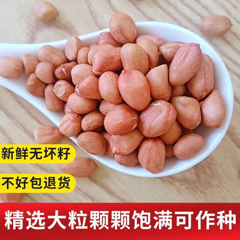 凡人乐新鲜花生米晾干新货粉皮手工剥壳散装花生仁榨油大白沙花生