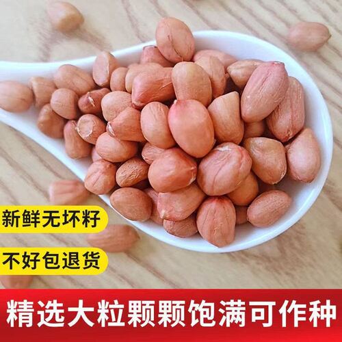 凡人乐新鲜花生米晾干新货粉皮手工剥壳散装花生仁榨油大白沙花生