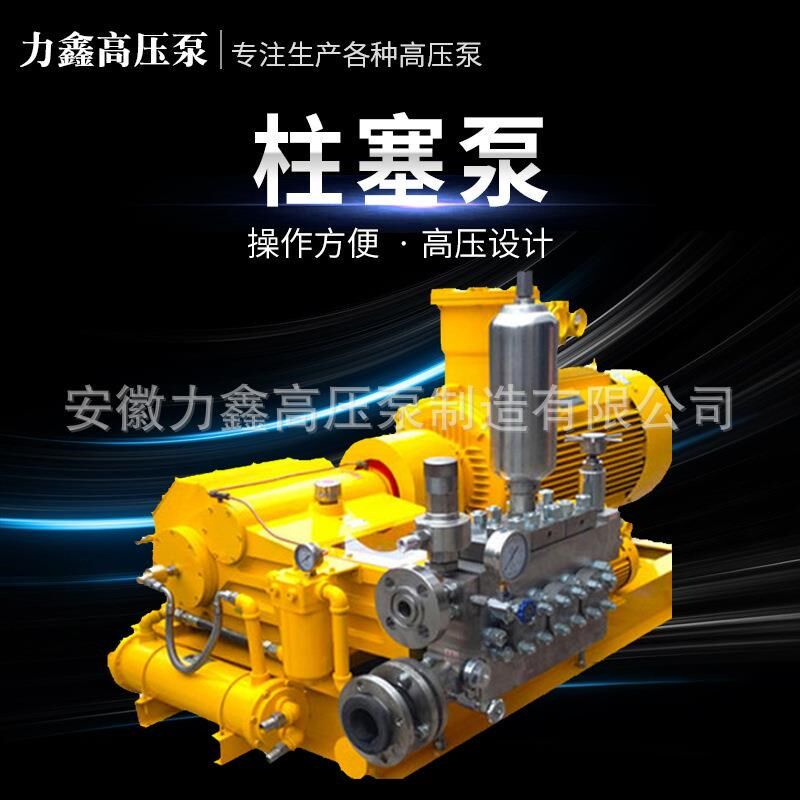 厂家现货柱塞往复泵不锈钢清洗高压除磷泵化工高压W泵高压柱塞泵