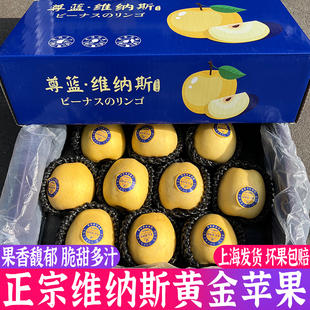 帅脆甜多汁新鲜水果 日本引种维纳斯黄金苹果5斤礼盒冬恋苹果黄元