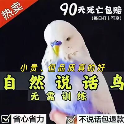 【万人选择】贵几块~买安心鹦鹉