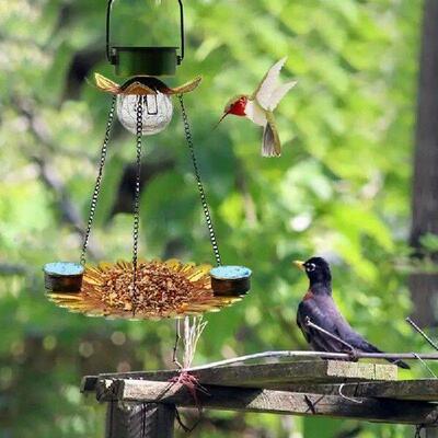 Solar Bird Feeder Metal Bird Feeder Solar Powered 2 In 1