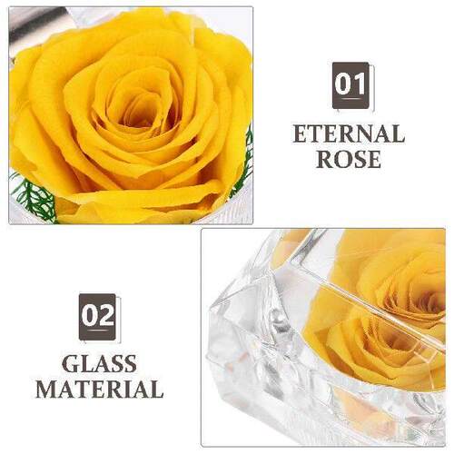Preserved Fresh Gift Anniversary Rose Box Red Rose Birthday