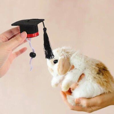Pet Doctor Hat Mini Graduation Cap Small Hamster Green