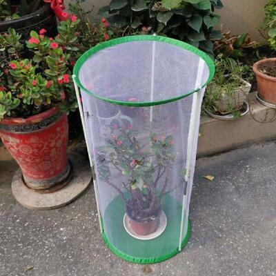 Mesh Cage Butterflies Observation Cage Butterflies Mesh