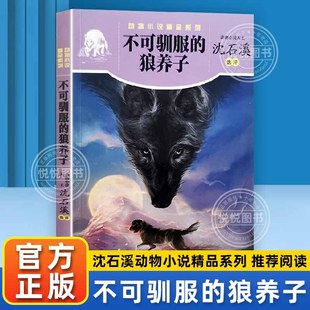 【官方正版】不可驯服的狼养子 沈石溪动物小说精品系列 中小学生23暑假语文趣味课外非必读名著三四五年级店铺推荐阅读人与自然