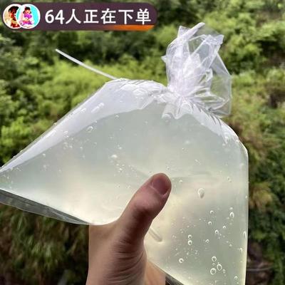 史莱姆2L硅胶假水袋装更实惠抱抱奶起泡胶超大桶厚实假水儿童无毒