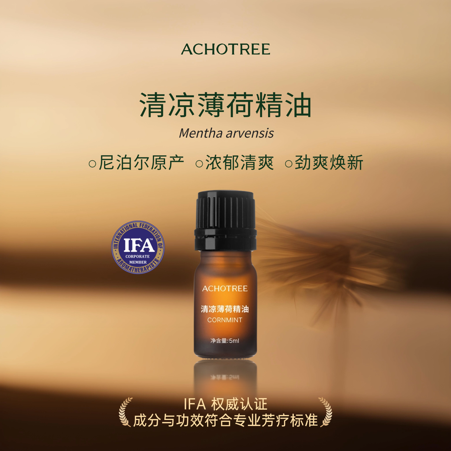 ACHOTREE清凉薄荷油单方精油提神