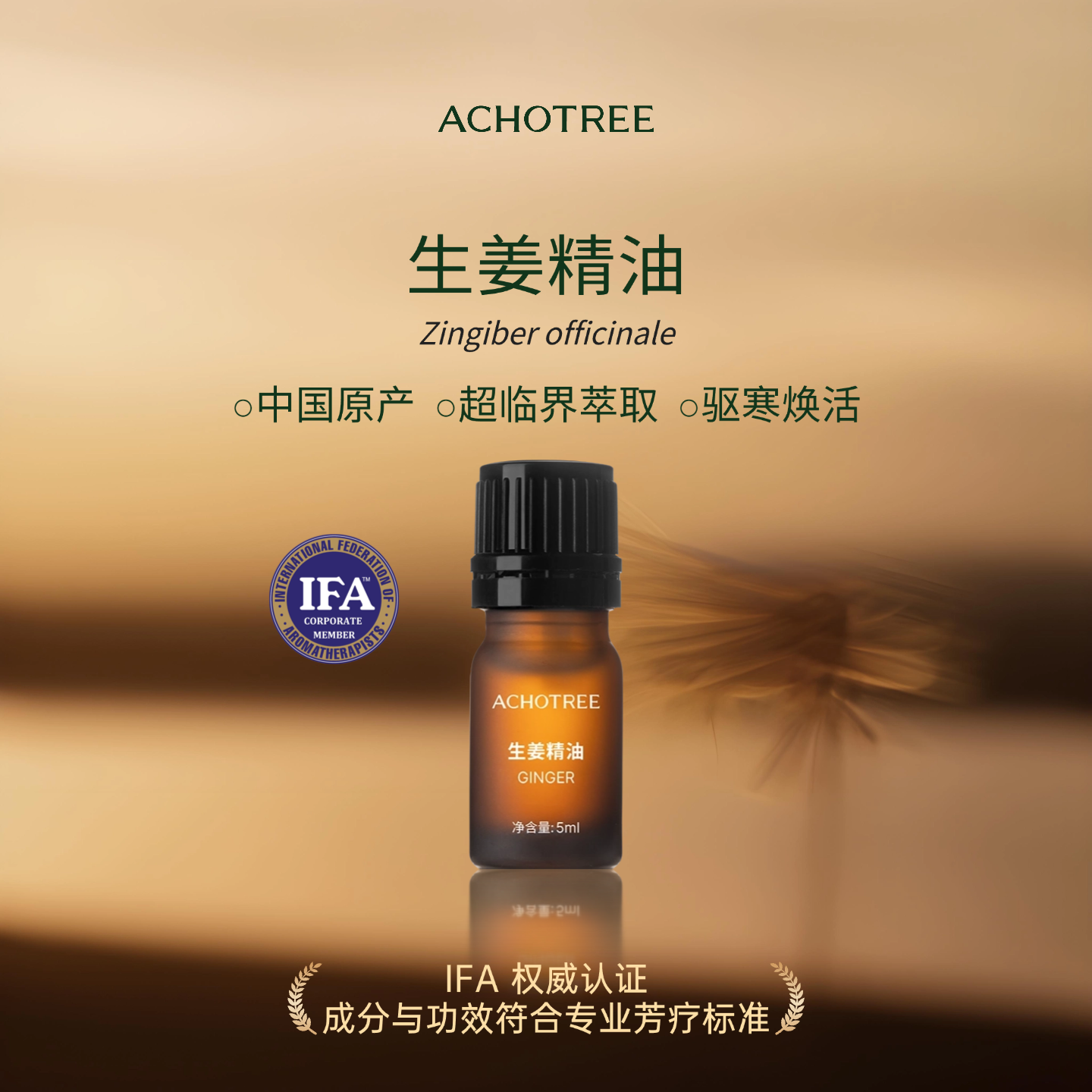 ACHOTREE生姜超临界萃取精油全身