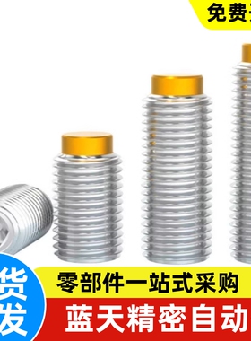 挡块止动螺钉丝TDA21-M6 M8-L8 L10 L12 L16 L20 L25 L30 L40 L50