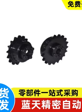 WESP3-4-5-9-10-H15 H20 H25 H30  N15 N20 N25 N30链轮