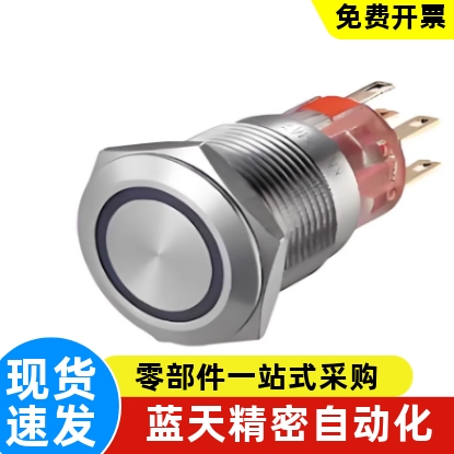 按钮开关ZHB36-F-F-11-E-G-A