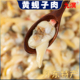 丹东特产大号黄蚬子肉新鲜蚬子肉鲜活蛤蜊肉半成品熟冻无沙花甲肉