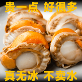 大连特大号扇贝肉无沙扇贝非即食高品质新鲜贝壳类海鲜不泡药商用