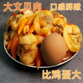 丹东特产大文贝干大号黄蚬子干无沙文贝肉蛤蜊肉新鲜海鲜即食零食