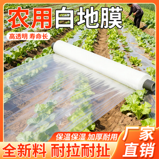 白地膜农用种植种菜专用薄膜胶带保护膜一次性覆盖菜地膜耐磨加厚