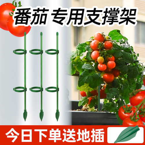 西红柿番茄辣椒支撑杆