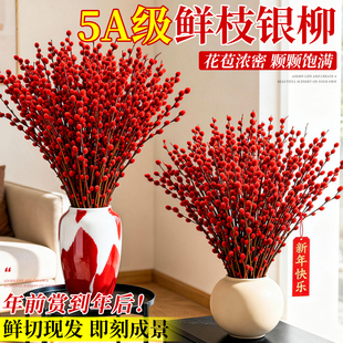 银柳鲜枝真花客厅红干花摆件招财鲜花福桶年宵花客厅装饰花束水培