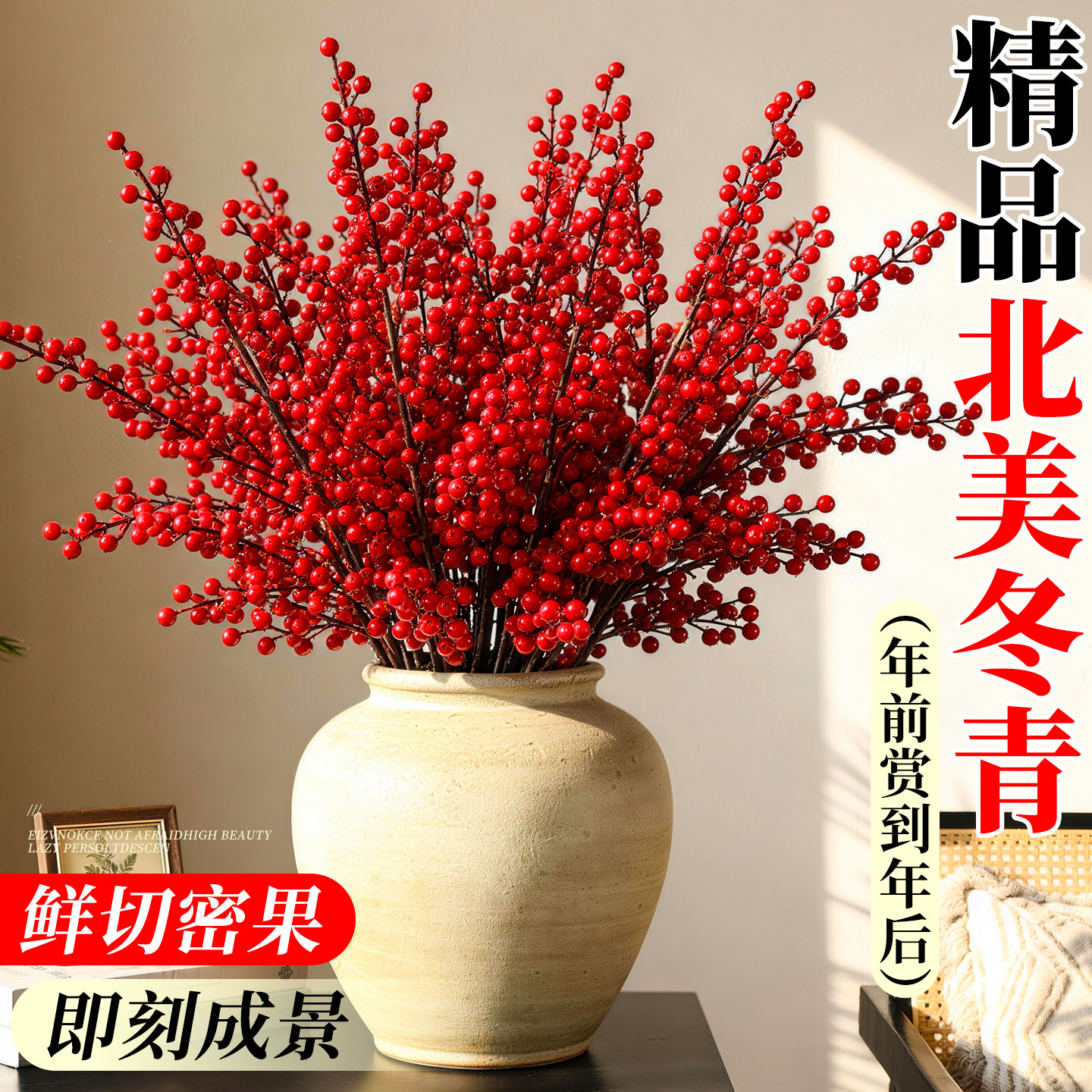 北美冬青红果真花年宵花鲜切花水培花期超长室内观赏四季植物好养