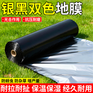银黑双色农用地膜种植加厚反光塑料薄膜户外一次性菜防寒保温膜地