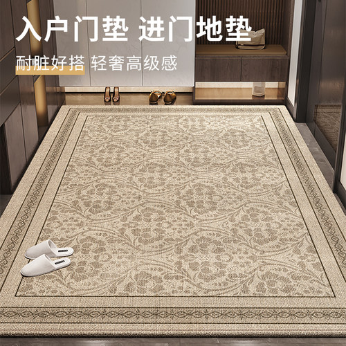 入户门垫进门地垫2025年新款脚垫地毯大门口进户耐脏防滑定制专用