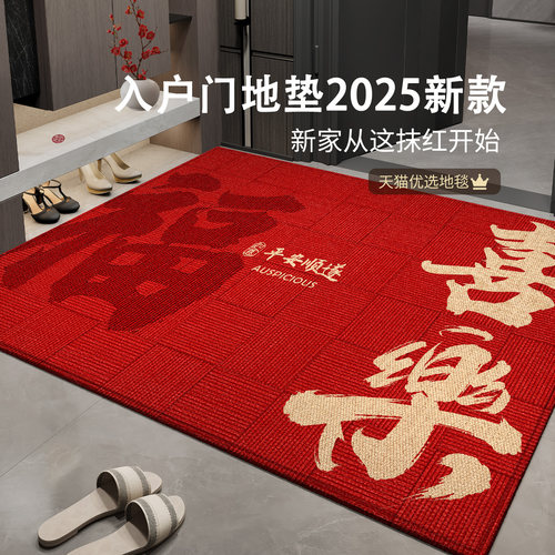 2025新款高级感入户地垫