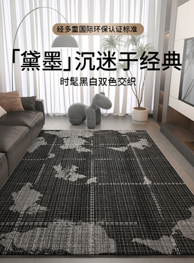 地毯客厅卧室2025新款大面积天全铺免洗可擦床边地垫黑色轻奢高级