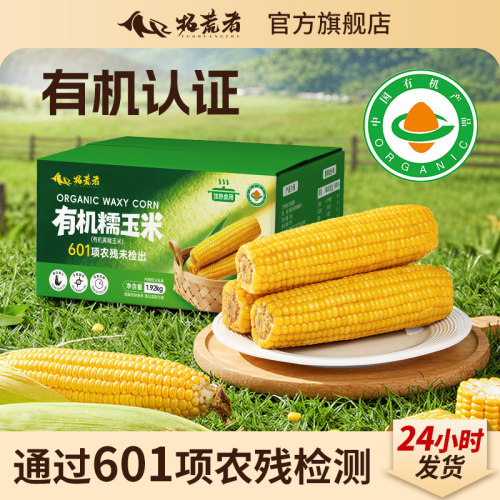 拓荒者-有机黄糯玉米8穗好吃！