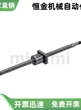 精密滚珠丝杠 BSSE BSS2005 2010 2020-200 250 300 350 400 450