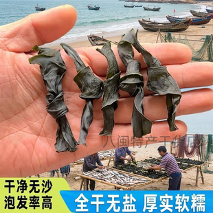 霞浦天然海带结干货全干无盐厚实软糯干净无沙泡发率高商用批发纯