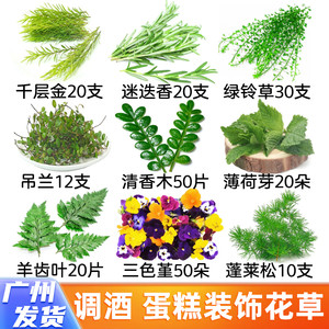 角堇/三色堇