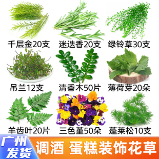 食品装饰蛋糕咖啡红枫叶鸡尾酒饮品清香木三色堇刺身西餐摆盘花草