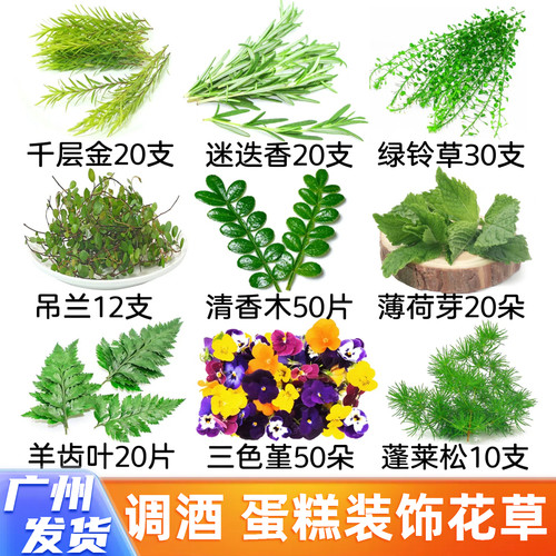 食品装饰蛋糕咖啡红枫叶鸡尾酒饮品清香木三色堇刺身西餐摆盘花草