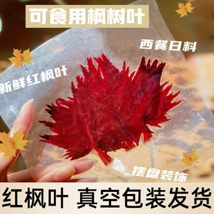 新鲜枫叶真空盐渍红枫叶刺身寿司烘焙西餐咖啡摆盘点缀装饰花草