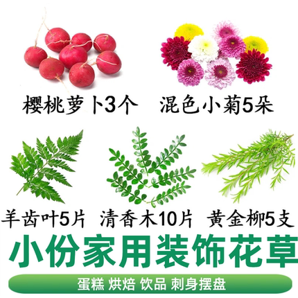 广州发货过年家宴装饰摆盘花草三色堇清香木1盒10样混合家用小份