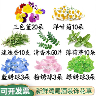 酒吧鸡尾酒调酒装饰点缀花草清香木叶子食用薄荷芽羊齿叶可开发票