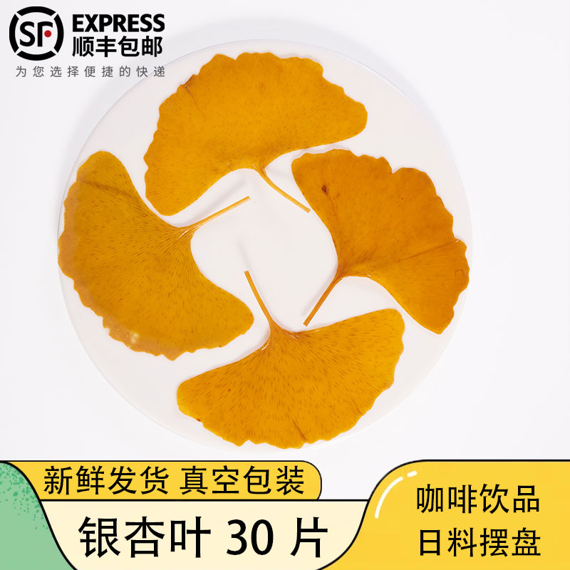 真空银杏叶 黄银杏叶 咖啡日料西餐饮摆盘装饰花草点缀鲜花草30片