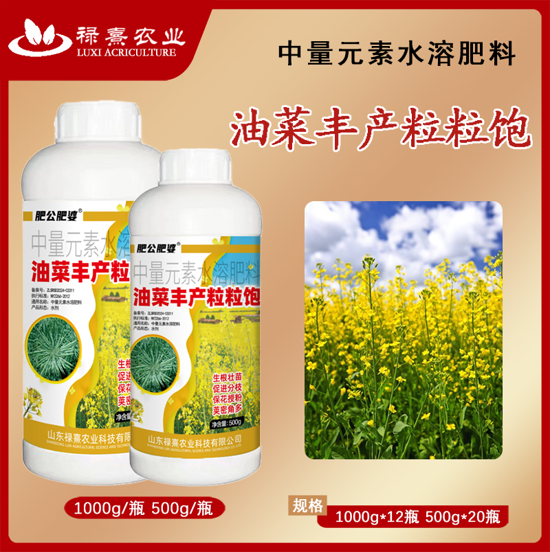 肥公肥婆粒粒饱提高出油油菜