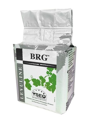 销帝伯仕BRG 果酒葡萄酒酵母法国进口原装500g 酿酒辅料供应厂