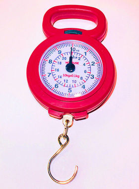 家用旅游学生买菜购物口袋小秤快递迷你便携式手提机械弹簧秤