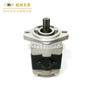 3.5吨堆高机齿轮油泵CBHZF31.5 合f力杭州柳工龙工2 堆高机配件
